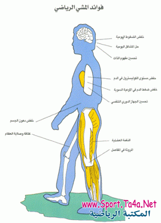 فوائد المشي الرياضي