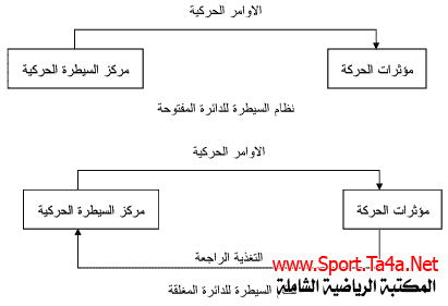 يعتبر التصور الحركي هو إستباق الحركة من خلال تنفيذها ذهنياً