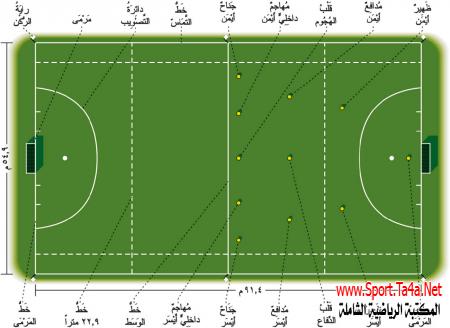 هوكي العشب