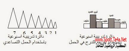 الدائرة التدريبية الأسبوعية