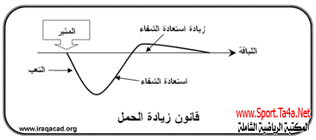 القوانين الأساسية للتكيف