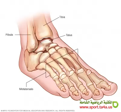 اصابات القدم : Foot Injuries