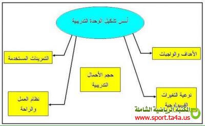 مفهوم الوحدة التدريبية