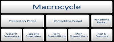 المبادئ و الأسس المنهجية لتخطيط الدوائر التدريبية الكبري Macro cycle