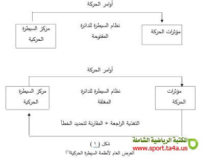 السيطرة الحركية في جسم الانسان