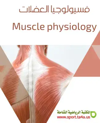 الفسيولوجيا العضلية: التغيرات، الخصائص، التعب العضلي والتكيفات الرياضية